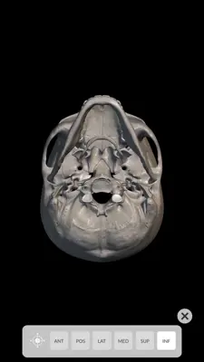 Skeleton 3D Anatomy android App screenshot 10