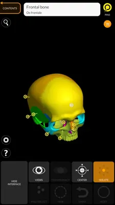 Skeleton 3D Anatomy android App screenshot 11