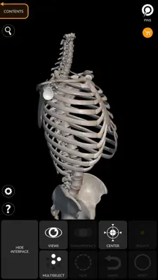 Skeleton 3D Anatomy android App screenshot 1