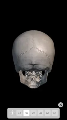 Skeleton 3D Anatomy android App screenshot 5