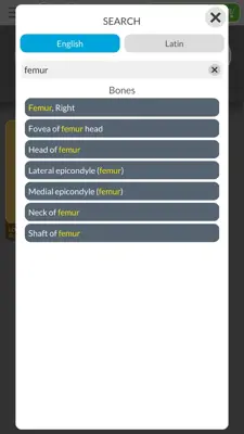 Skeleton 3D Anatomy android App screenshot 6